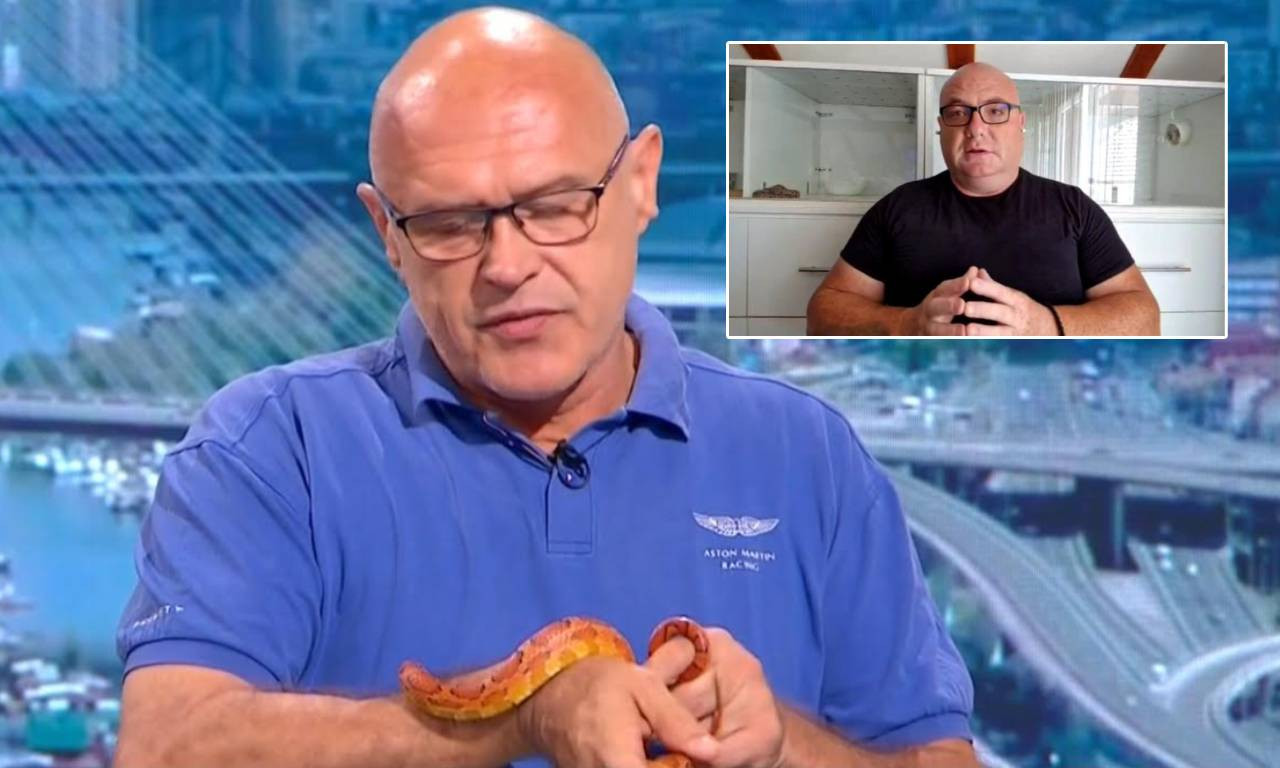 ZMIJA GMIŽE PO GOSTU UŽIVO U PROGRAMU K1 TV Stručnjak objasnio sve o otrovnicama! Najezda je, zapamtite ove savete
