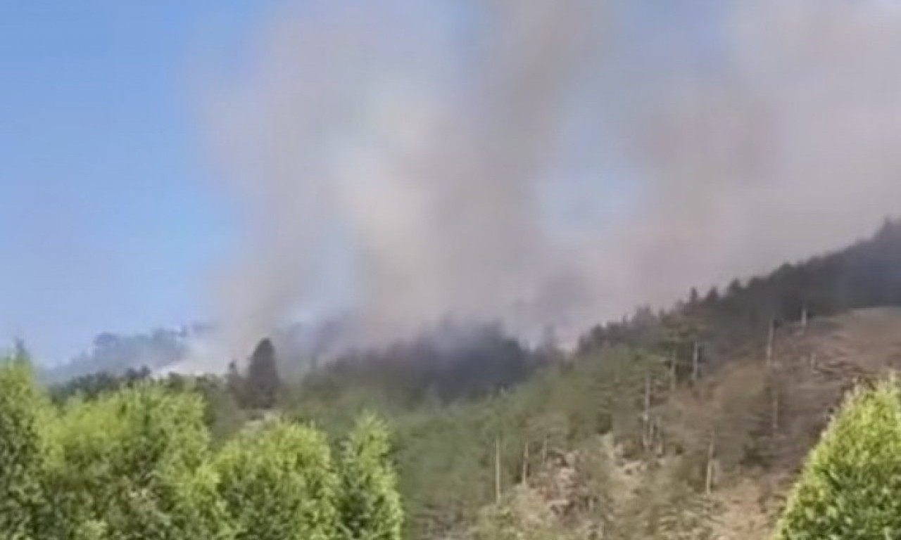 BUKTI POŽAR IZNAD PRUGE BEOGRAD - BAR Vatra se širi neverovatnom brzinom, meštani mole za pomoć (VIDEO)