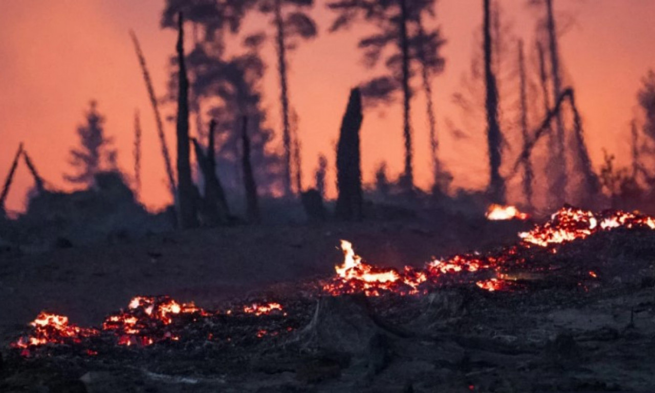 OGROMAN POŽAR KOD BORA: Vatra guta šumu, vatrogasci na terenu! (FOTO)