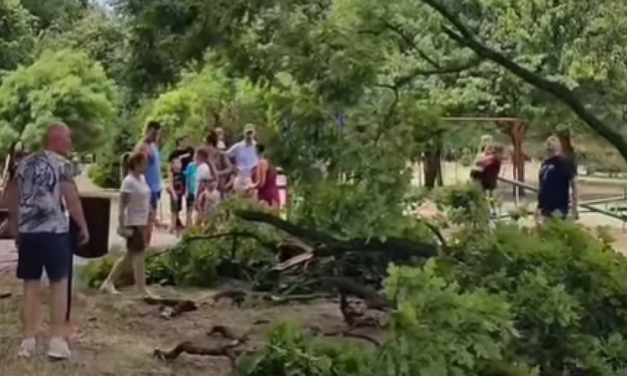 PALA GRANA U PANČEVU PORED PETORO DECE : Žena sa bebom bila ispod, užas (VIDEO)