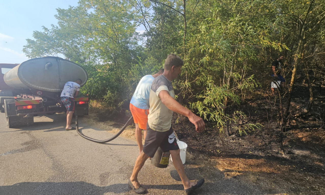 KATASTROFA KOD GORNJEG MILANOVCA Ogroman šumski požar se proširio na naselje - meštani gase buktinju! (FOTO + VIDEO)