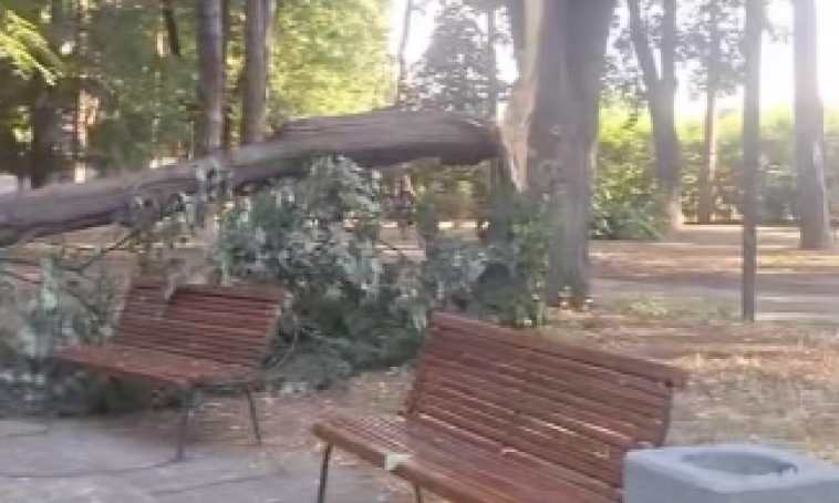ČULO SE LOMLJENJE, A ONDA JAK UDARAC O ZEMLJU Incident u Čačku - sve je moglo da se završi kobno! (VIDEO)
