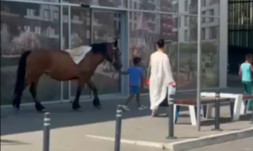 DA LI JE OVO BEOGRAD ILI DIVLJI ZAPAD? Stigao nam je šok snimak - građani ispred TC na Karaburmi gledaju i ne veruju