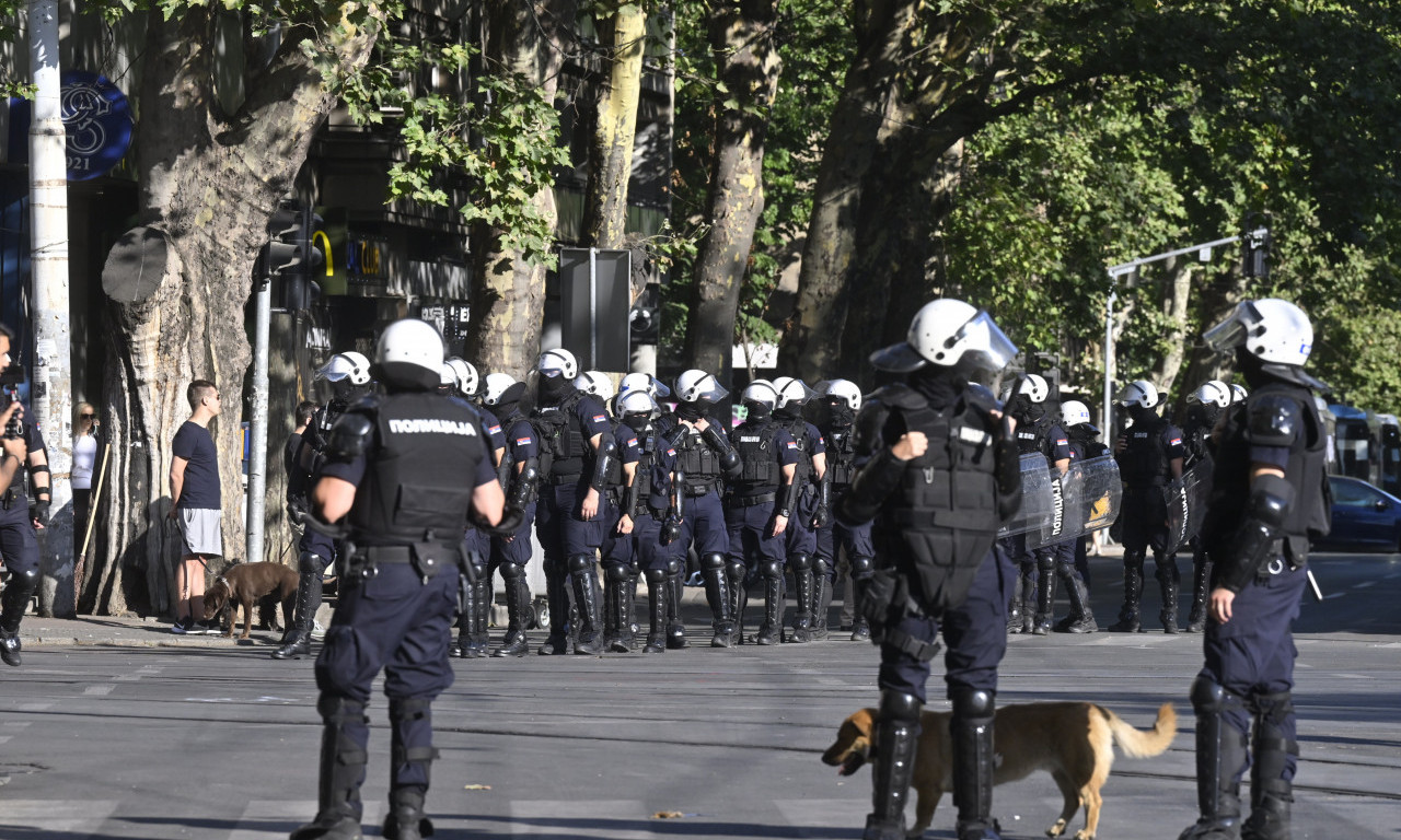 KAKVA JE SITUACIJA SA BLOKADAMA DANAS? Evo šta su policajci radili prethodne noći na ulicama Srbije