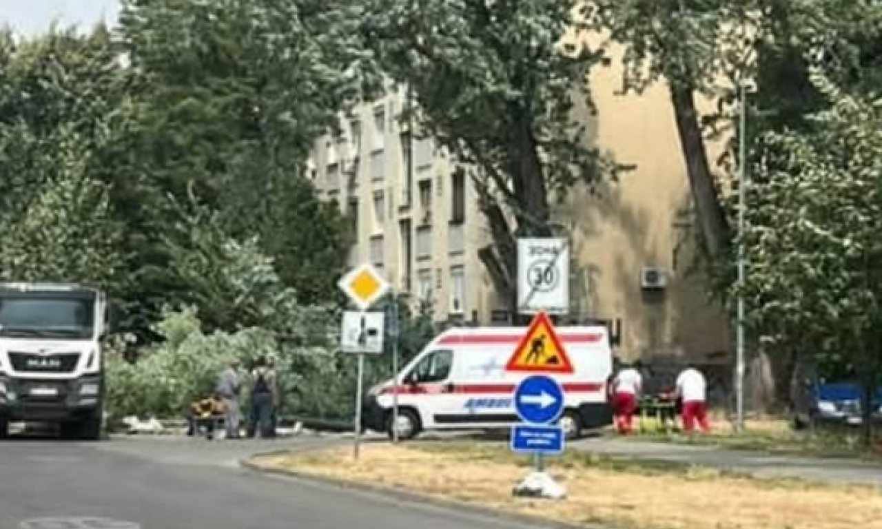 DRVO PALO NA DEVOJČICU (8) I ŽENU U NOVOM SADU: Hitno prebačene u bolnicu!
