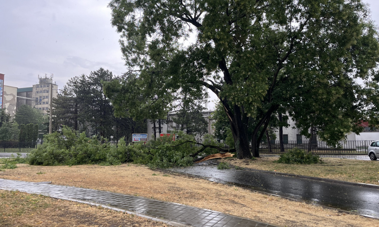 APOKALIPTIČNE SCENE IZ SRBIJE: Nevreme protutnjalo našom zemljom, padalo drveće, vetar nosio sve pred sobom (FOTO/VIDEO)