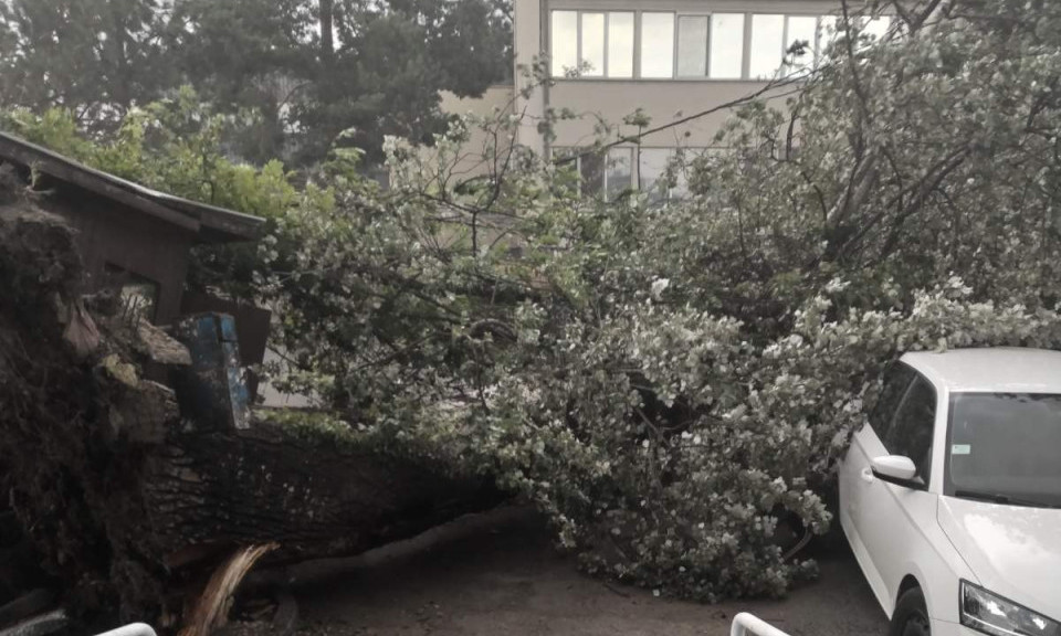 ŠTA DA RADITE AKO VAM JE NEVREME OŠTETILO AUTOMOBIL? Ovo su koraci koje obavezno treba da preduzmete!