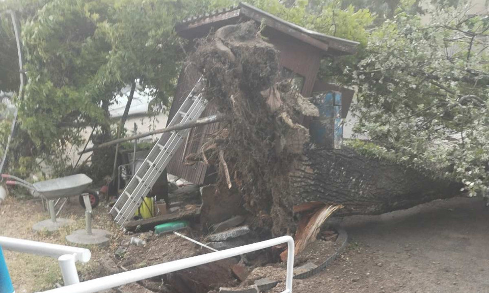 DRVO PALO PORED POZNATOG RESTORANA U BEOGRADU Nevreme napravilo nezapamćeni haos! (FOTO)