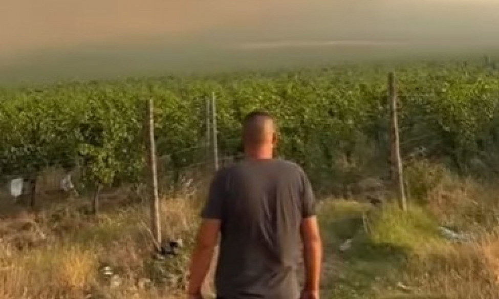 TAMO GDE TREBA KIŠE NEMA Pogledajte potresan prizor iz Žitorađe gde još besne požari (VIDEO)