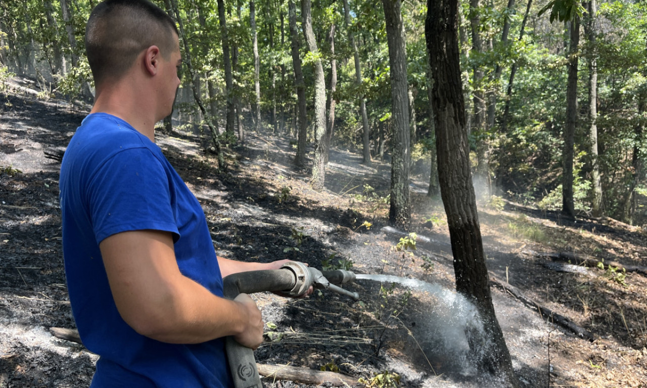 VELIKI POŽAR KOD RIBARSKE BANJE: Dim se širi iznad puta, ugrožena šuma (FOTO)