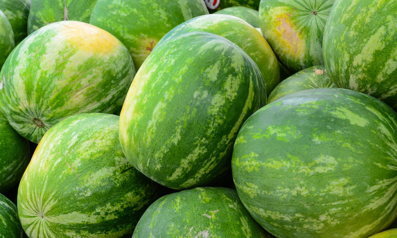 DA LI ZNATE ŠTA ZNAČI BELA FLEKA NA LUBENICI? Mnogi greše kad je biraju!