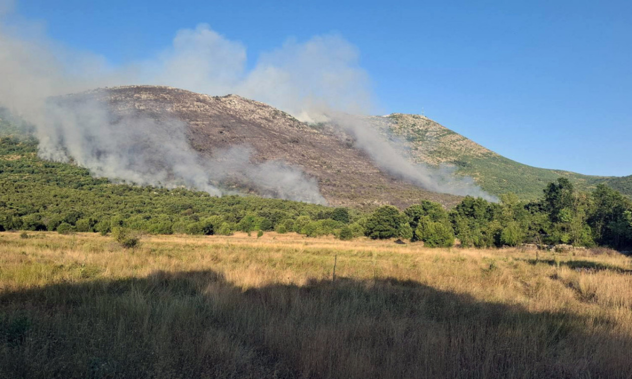 TINJAJU OSTACI NAGORELOG DRVEĆA Požar u Trebinju može opet da bukne! Vatrogasci pred teškim zadatkom (FOTO)