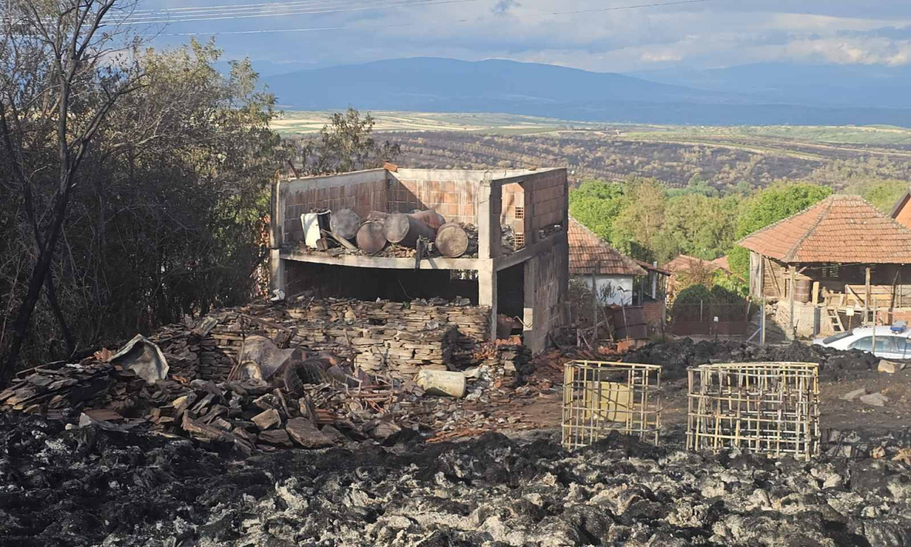 SVE JE NESTALO U PLAMENU Ministar zatekao jezive posledice požara u Topličkom okrugu, pa najavio veliki potez (FOTO)
