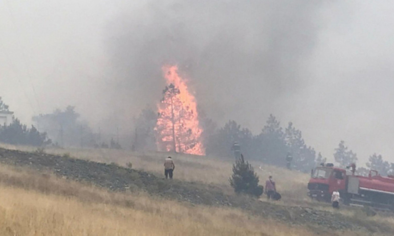 GORI UŽICE ZADNJIH 10 DANA! Pakleni jul doneo čak 80 požara, zahvaćeno na desetine hektara šume, ovo su uzroci