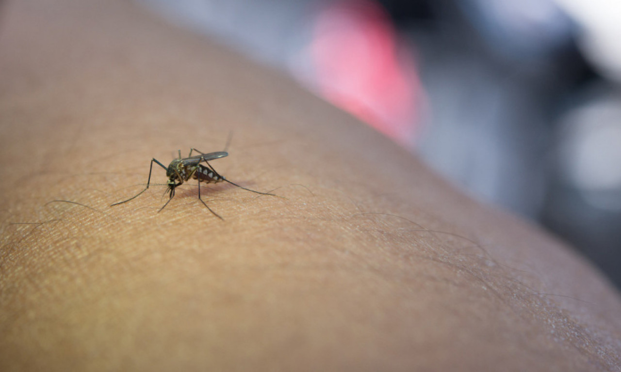 OPAKA BOLEST STIGLA U KOMŠILUK, NEMOĆNI I LEKARI! Potvrđene prve žrtve virusa za koji nema ni leka ni vakcine