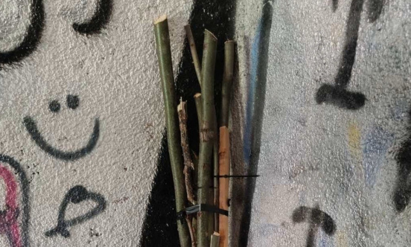 SPREMALI LOM PO ULICAMA? U Užicu pronađene drvene motke! Policija uputila hitan apel (FOTO)