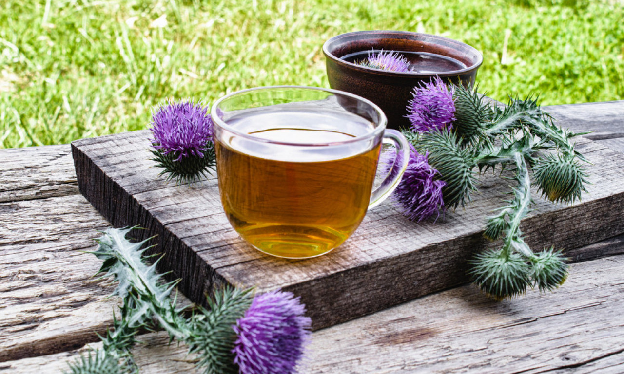 BENEDIKTOV ČIČAK I KOPRIVA ČISTE ORGANIZAM KAO METLOM Domaći čaj koji smanjuje otoke i jača jetru!