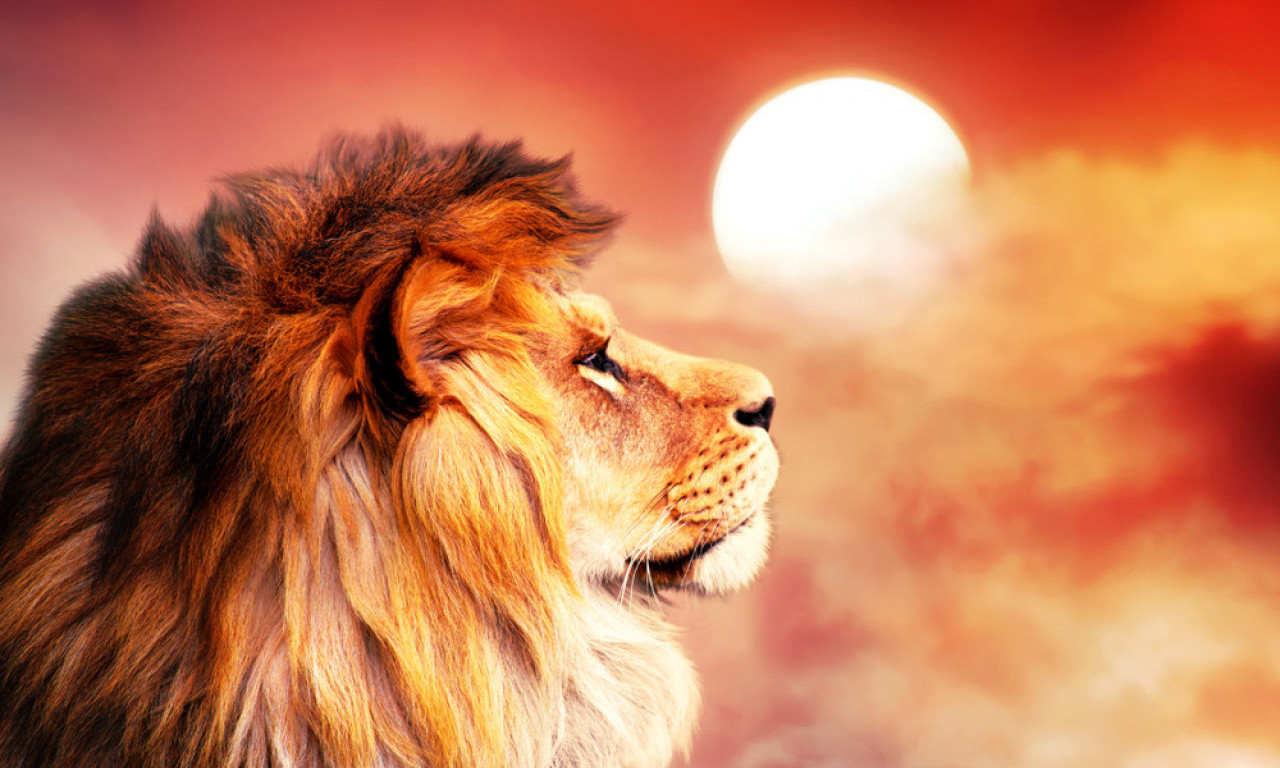 SEZONA LAVA POČINJE 22. JULA Ko će zablistati, a ko će se povući — evo kome leto donosi potpuni preokret u životu!