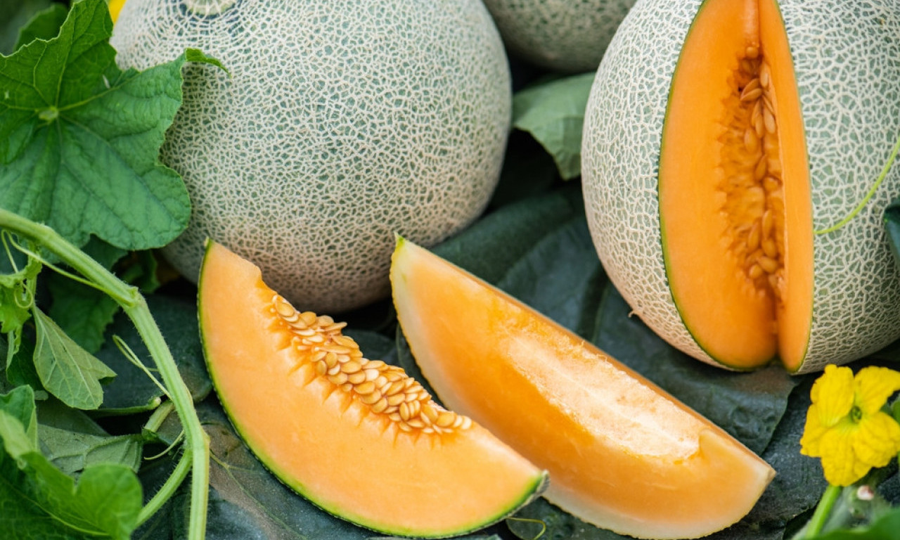 HOĆETE SLATKU DINJU? Ako nema ovaj znak – ostavite je, nije za poneti!