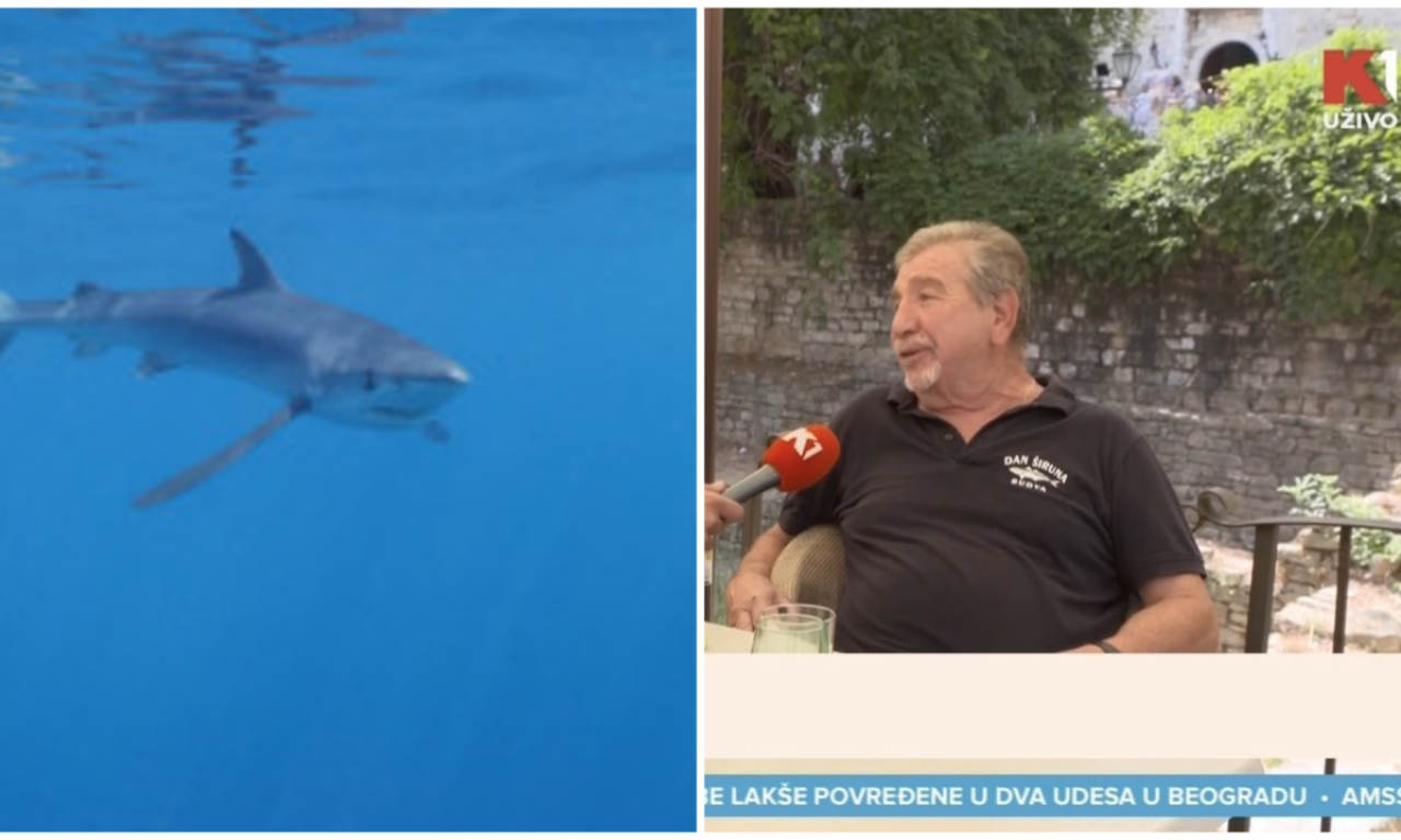 VELIKA BELA AJKULA SNIMLJENA KOD BUDVE Stručnjak za K1 otkriva – da li je opasna i koliko morskih zveri pliva Jadranom!