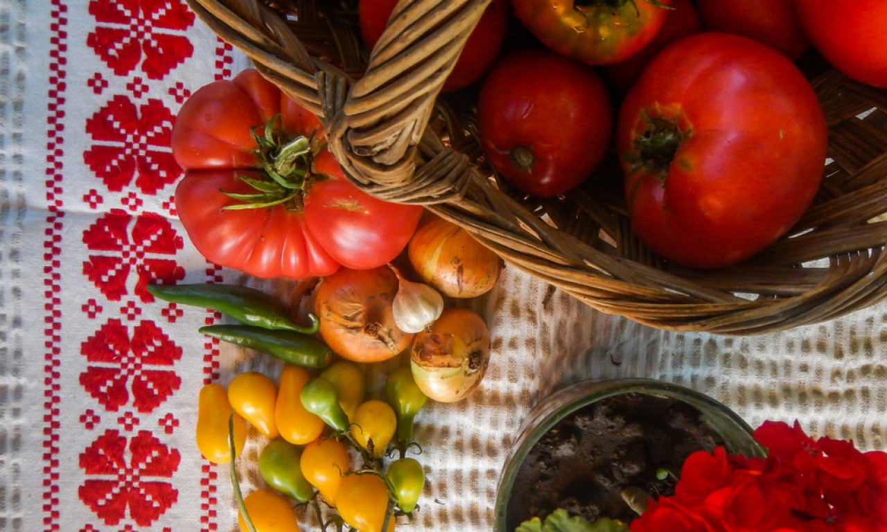 KUDA ZA VIKEND? PA U LEBANE Tri dana dobre muzike, domaće hrane i najlepšeg paradajza u Srbiji