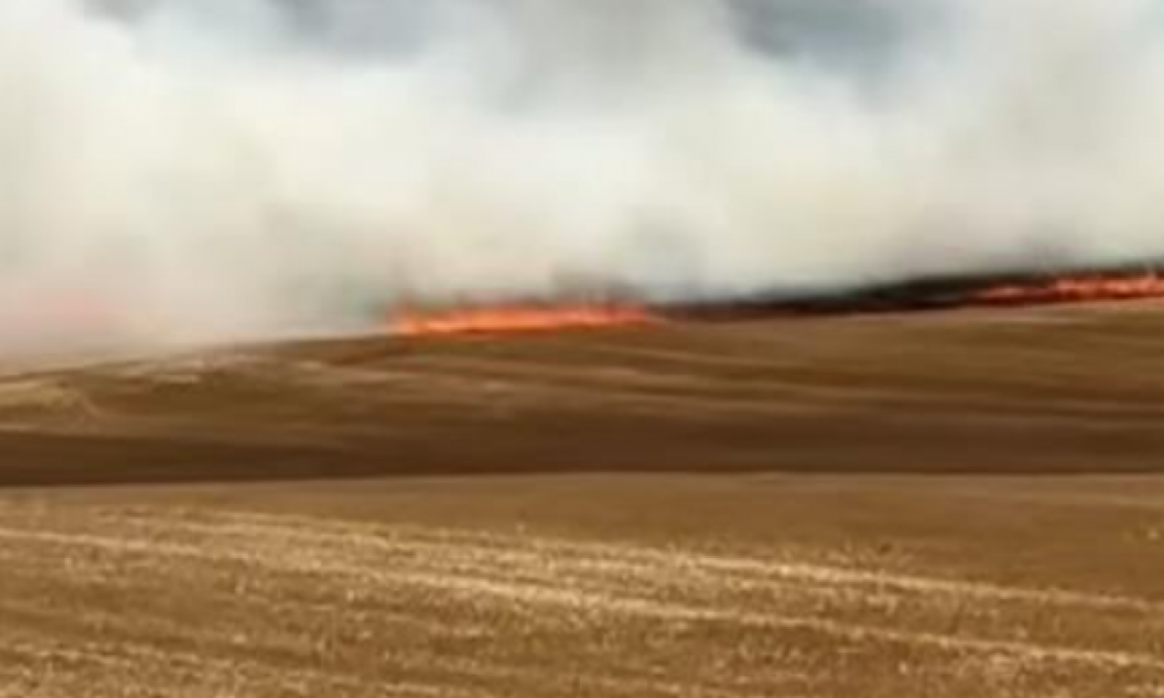 VATRENA STIHIJA GUTA NJIVE U OKOLINI KULE Požar doslovno jede sve pred sobom - prizori su stravični (VIDEO)