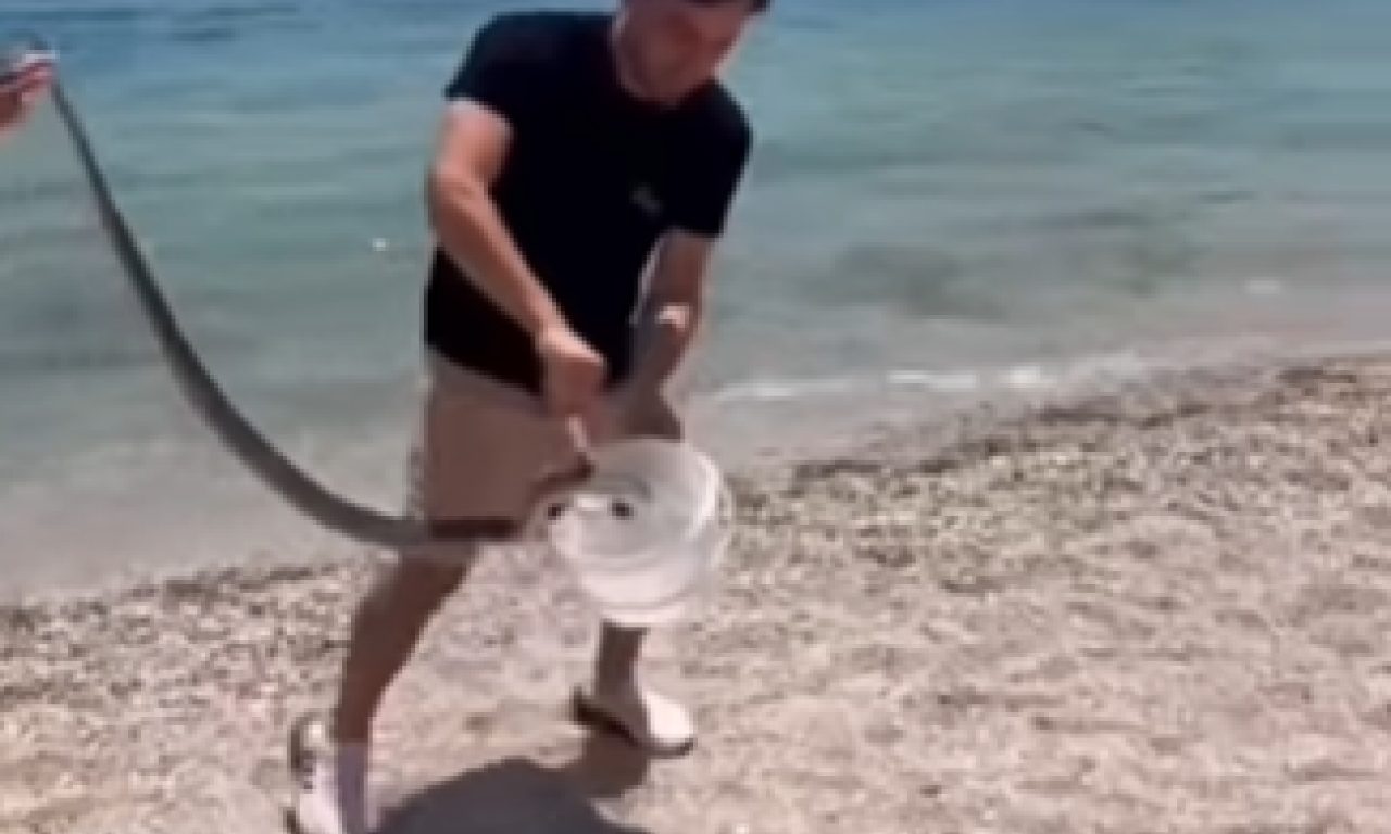SCENA NA PLAŽI U LEFKADI UPLAŠILA SVE: Turisti videli zmiju, krenula akcija, a zbog reči jednog Srbina "gore" komentari
