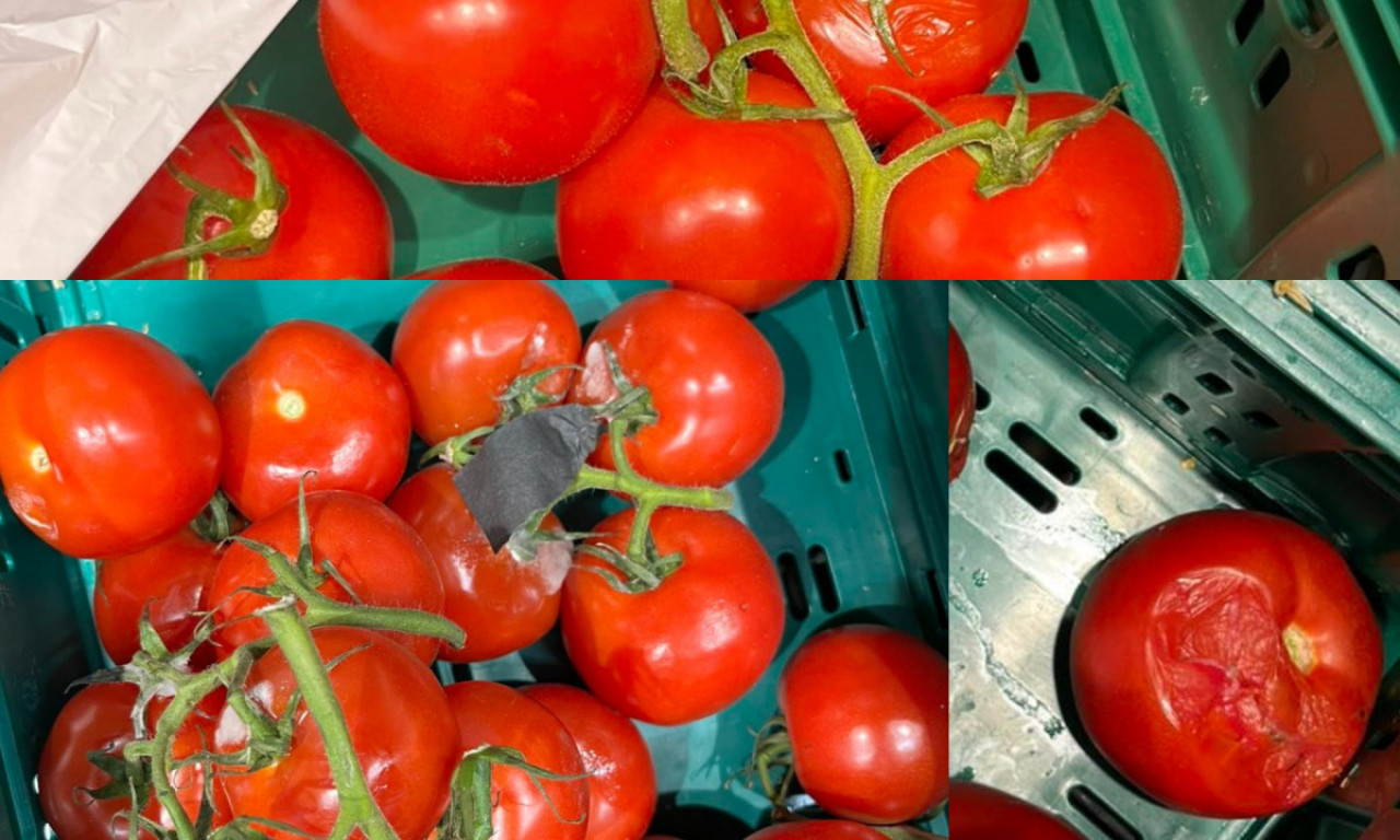 "MAXI" NAM MAKSIMALNO UVALJUJE ŠKART Prodaju buđav paradajz, a cena za kilo "prava sitnica" (FOTO)