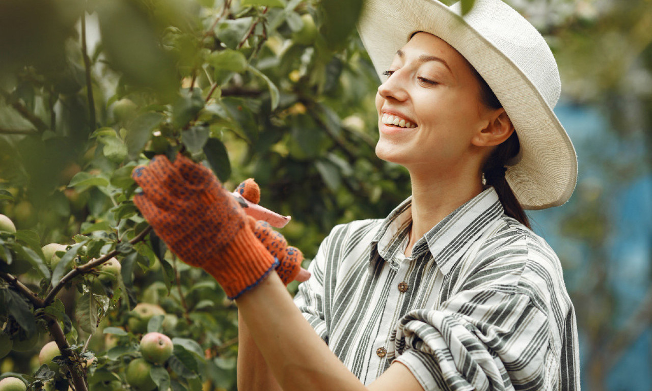 UZMITE MAKAZE ODMAH Ovih osam biljaka propada ako ih ne orežete u julu