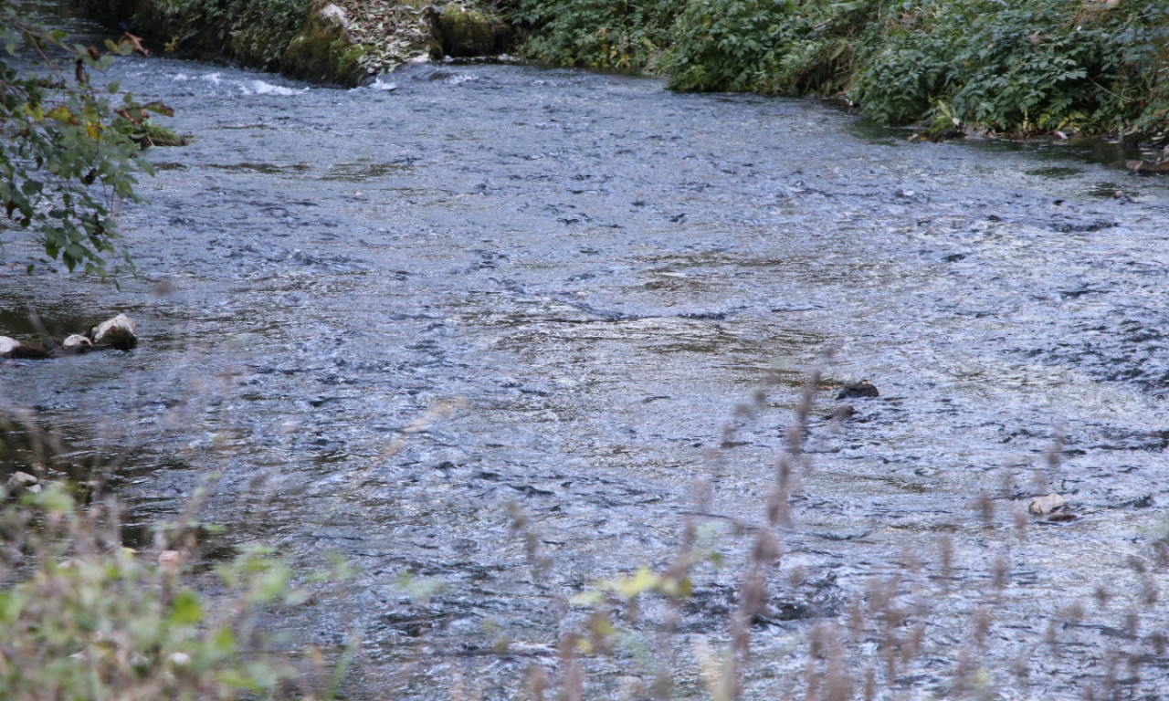 U TARI SE UTOPILA ROĐENA BRAĆA Detalji nezapamćene tragedije u selu kod Mojkovca
