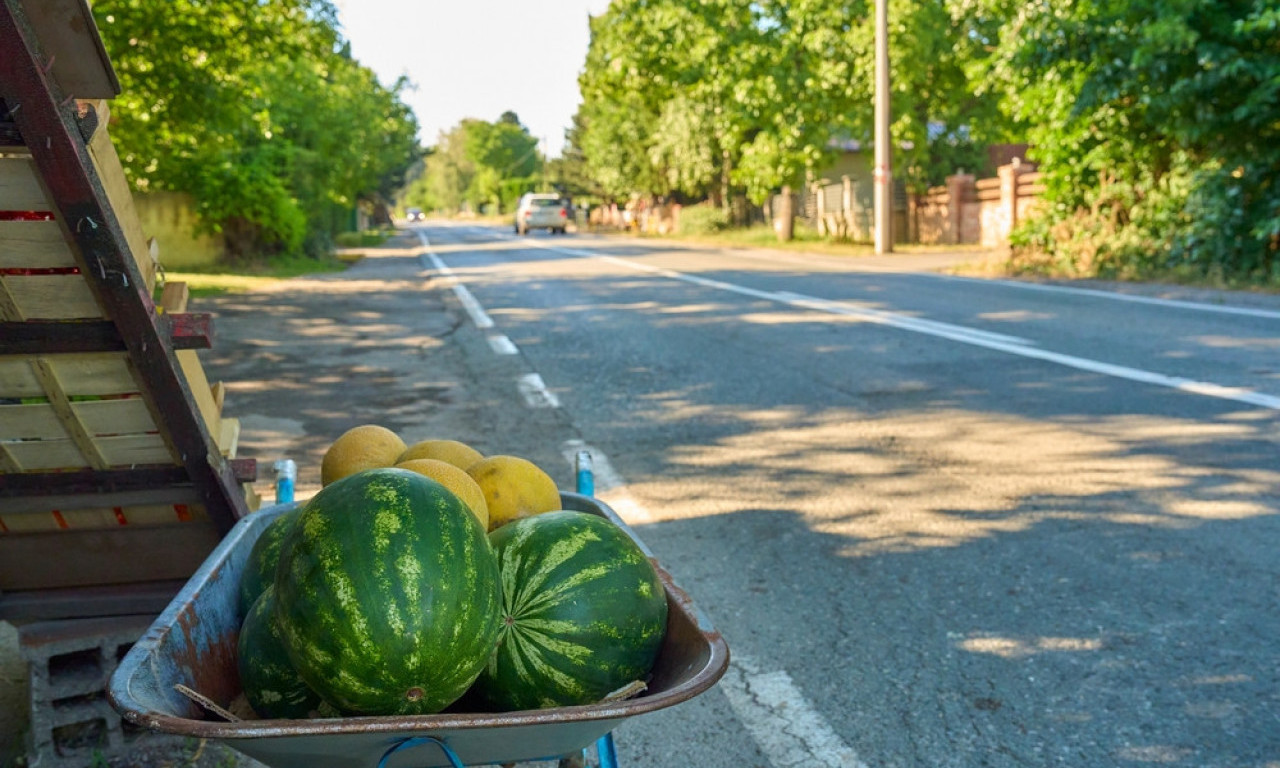 KAKO DA BRZO OHLADIM LUBENICU? Narodni trikovi koji "pale" svaki put