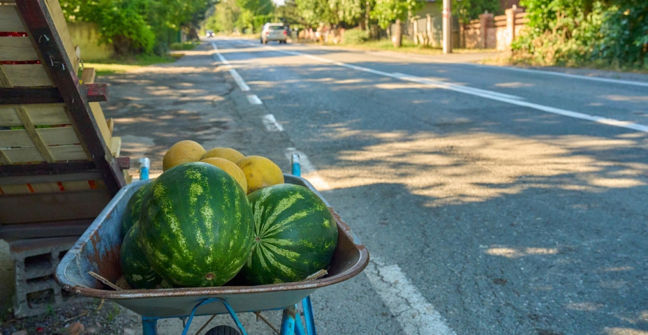 KAKO DA BRZO OHLADIM LUBENICU? Narodni trikovi koji "pale" svaki put