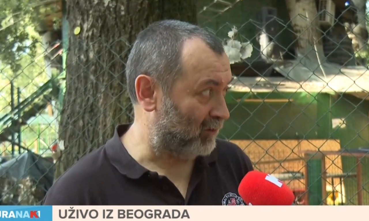 NE RADITE OVO SVOM LJUBIMCU PO VRUĆINI Posledice mogu biti kobne