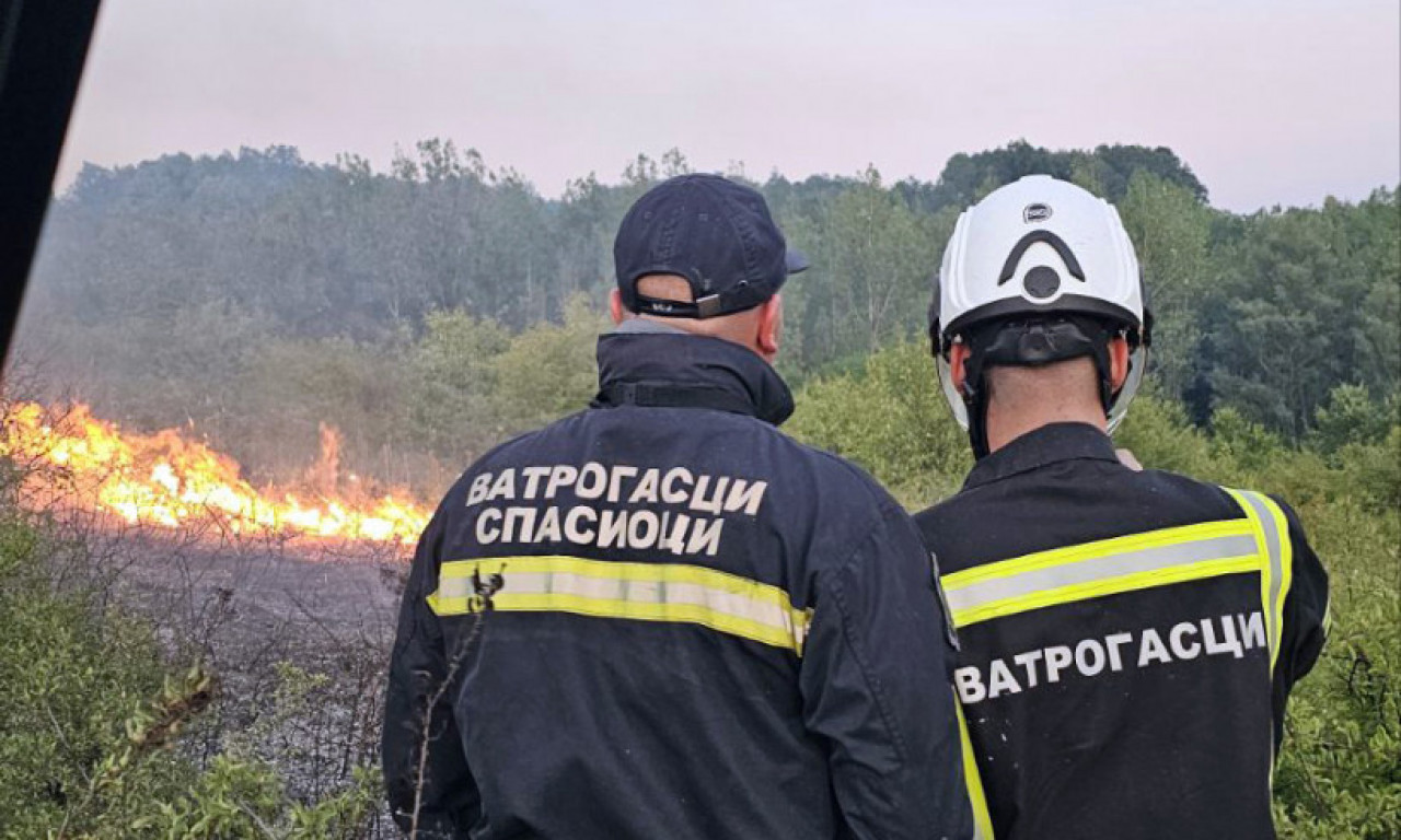 VIŠE OD 100 POŽARA NA OTVORENOM U SRBIJI: MUP apeluje na građane, ovo su  najugroženije lokacije (FOTO)