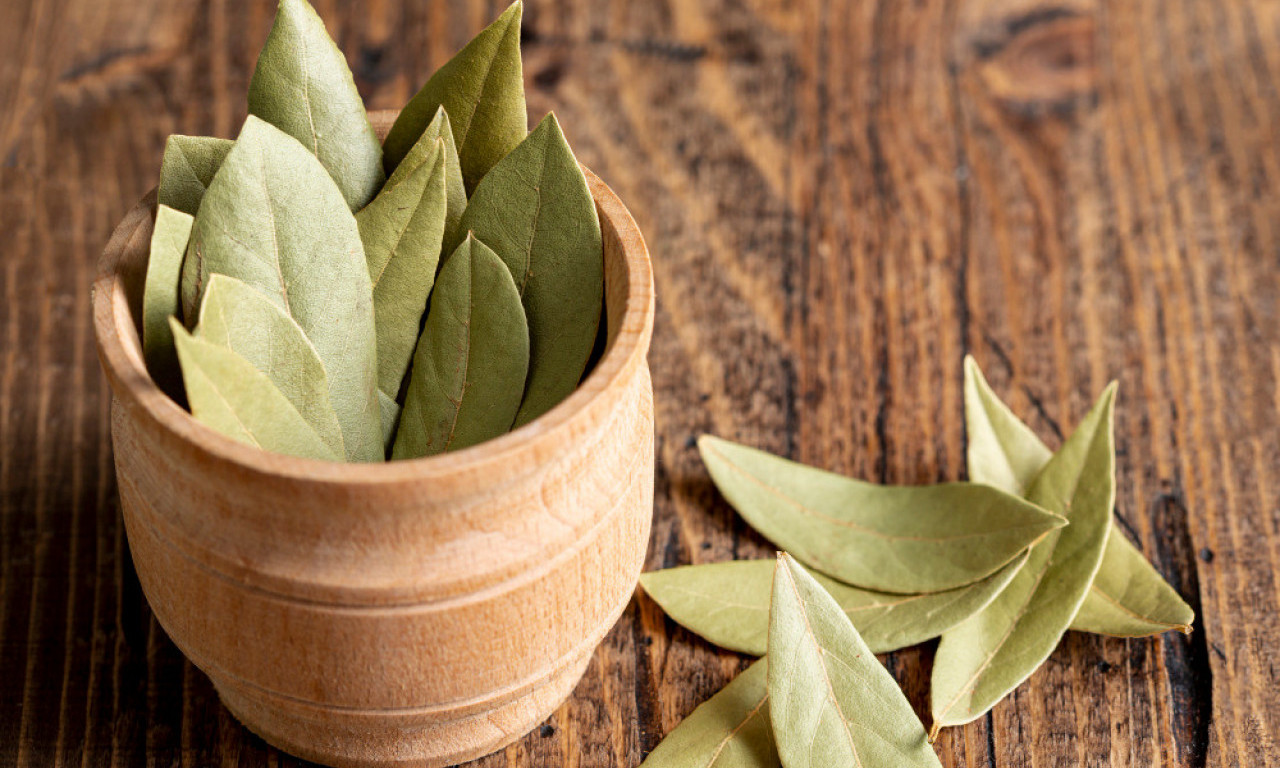 BAKIN RECEPT ZA BELI VEŠ Lovorov list vraća boju odeći brže nego skupe hemije!