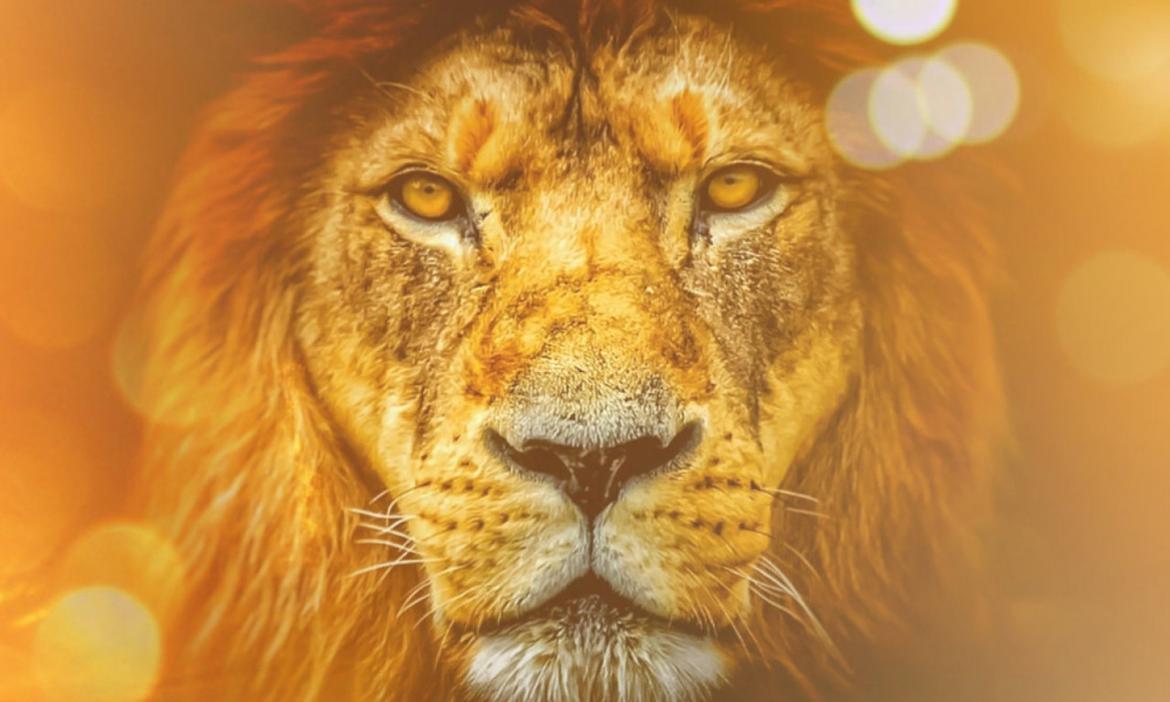 LAVLJA KAPIJA SE OTVARA! Spremite se za sudbinski udar – avgust menja sve!