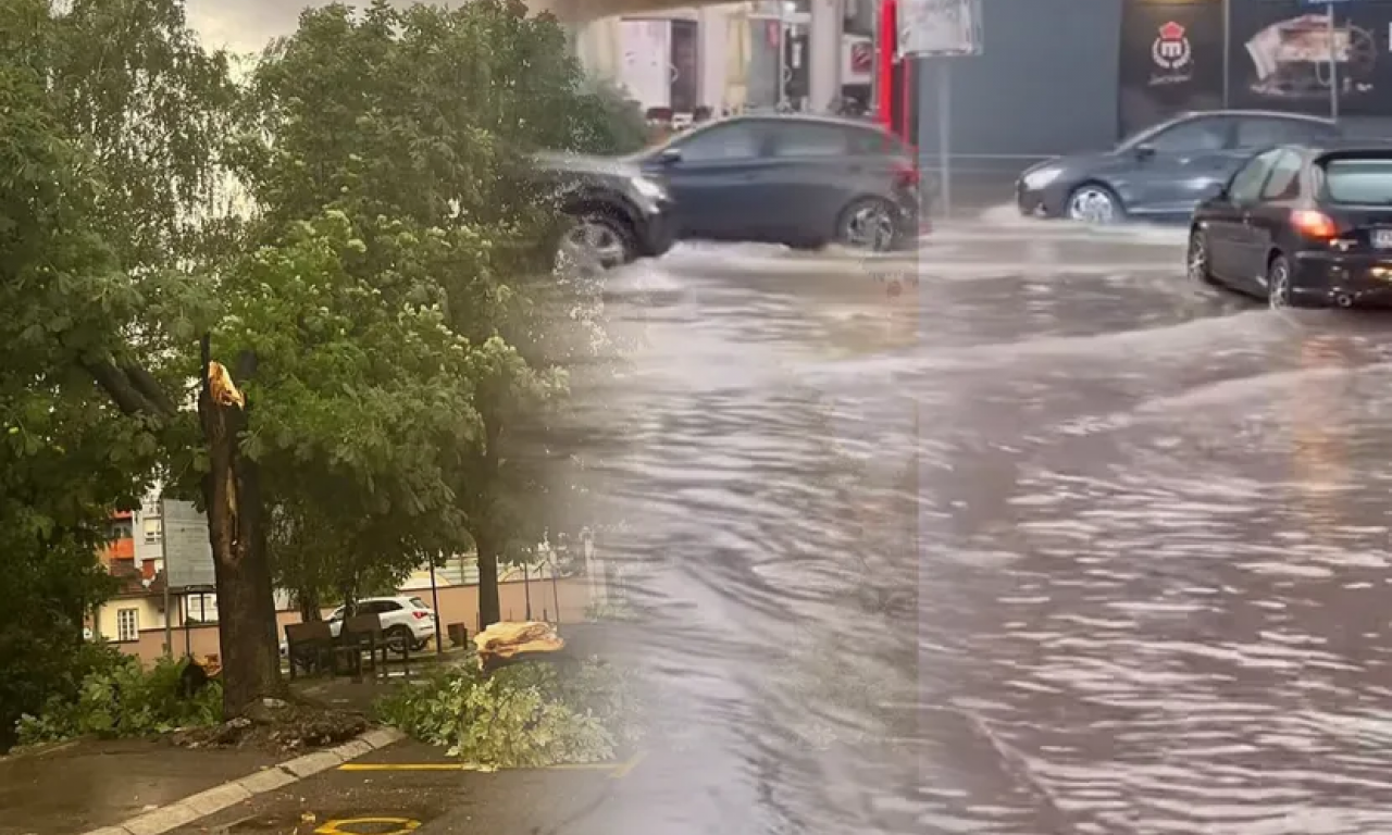 U VALJEVU POSLE NEVREMENA STABLA NA ULICI Kolovoz se pretvorio u reke (VIDEO)