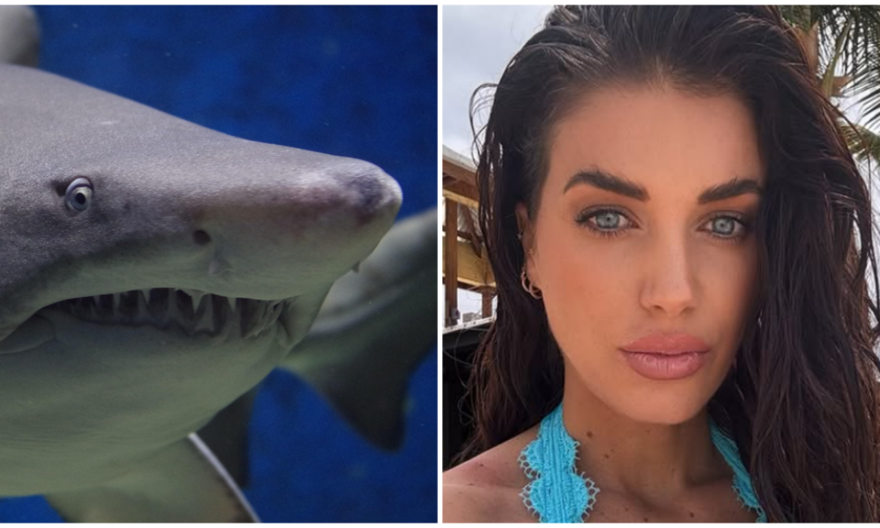 HOROR NA PLAŽI! Trudnu suprugu Danila Galinarija napala ajkula u Portoriku, hitno operisana - evo u kakvom je stanju