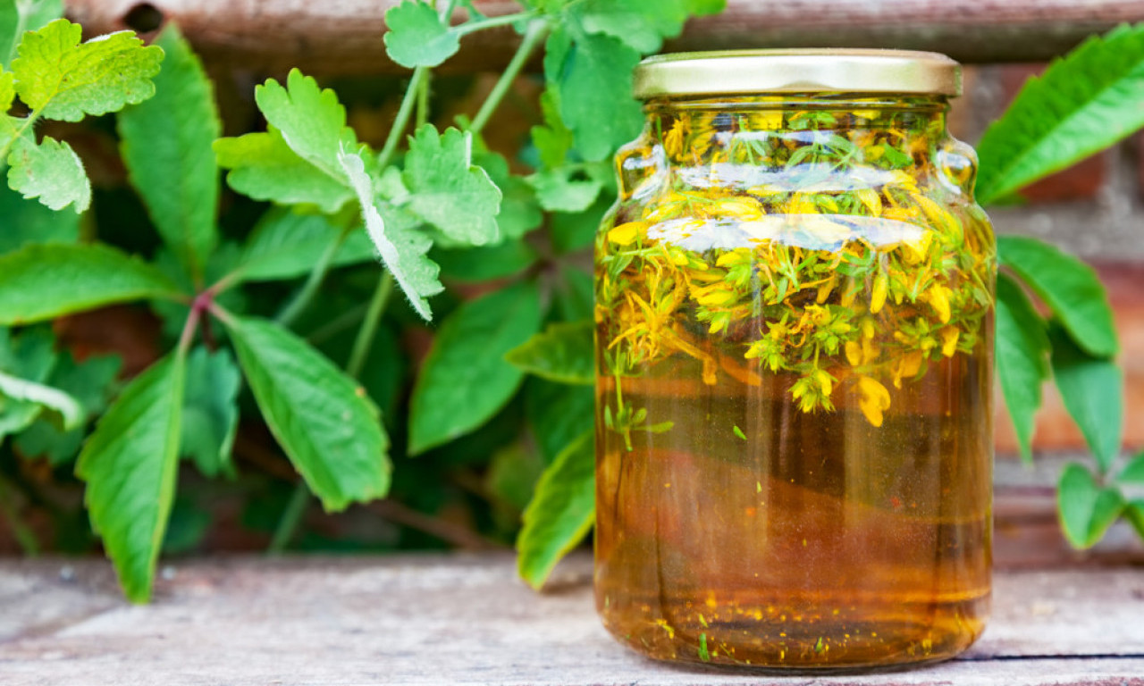 KANTARIONOVO ULJE – BOČICA KOJA LEČI 10 RAZLIČITIH TEGOVA Evo zašto treba da ga imate u kući