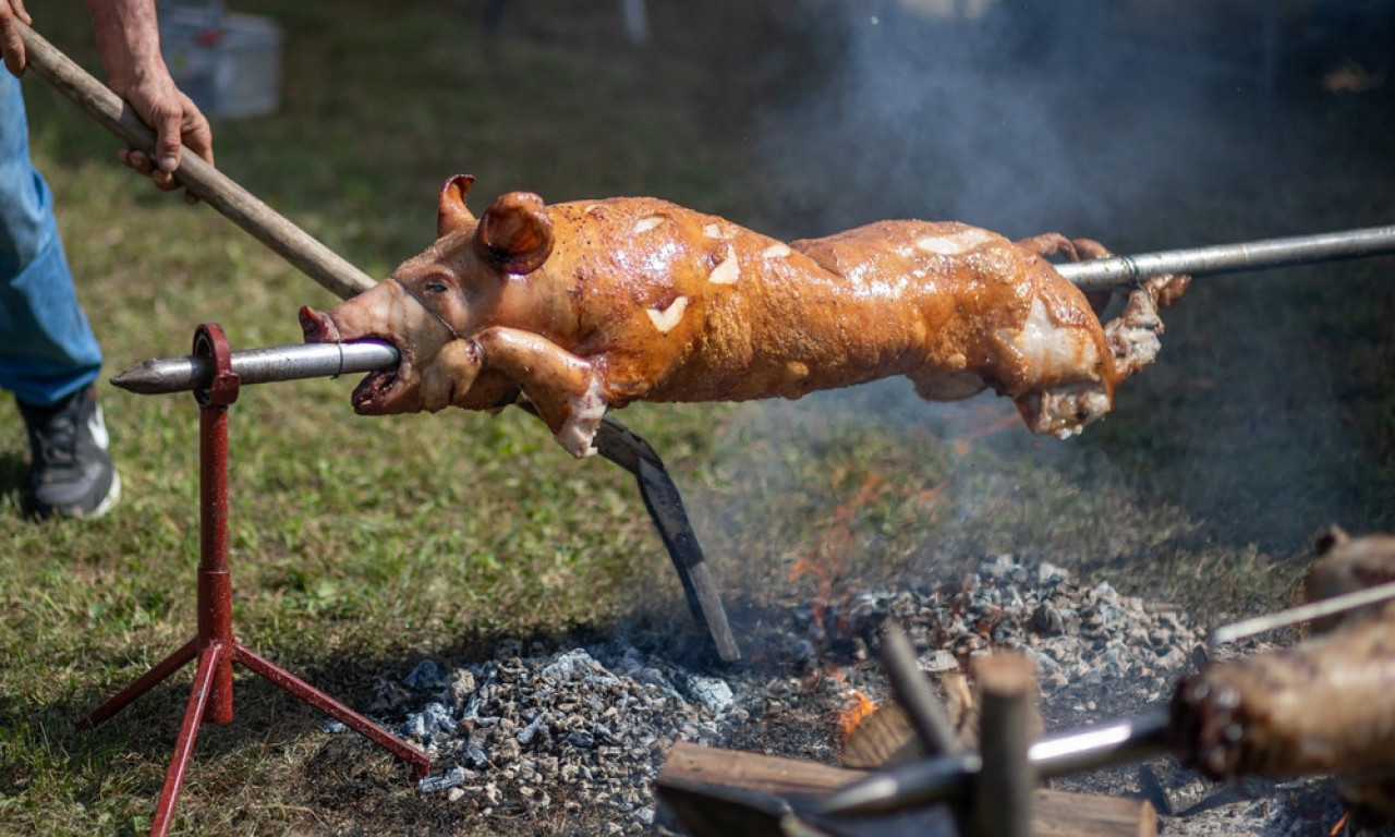 POZNAT DATUM PEČENIJADE 2025! Ove dane u septembru rezervišite za Stopanju, veselje i najbolje praseće pečenje!