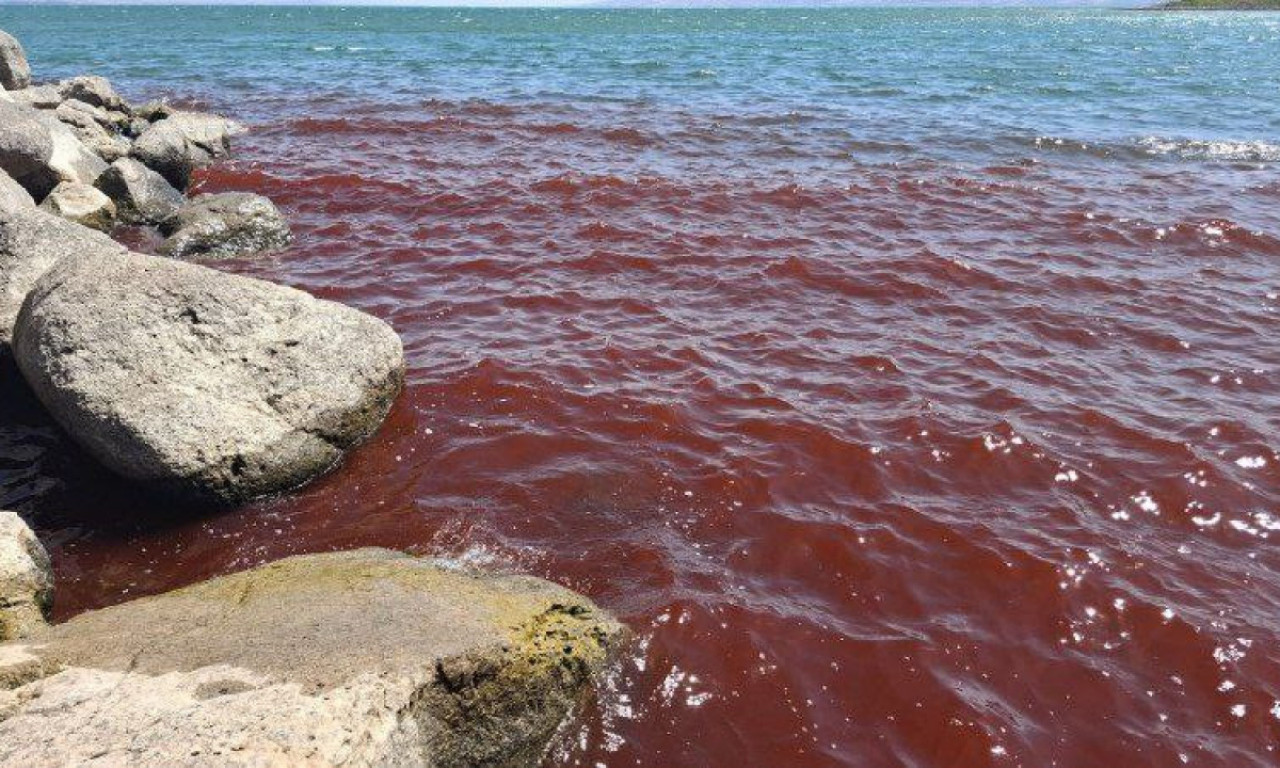 APOKALIPTIČNI SNIMAK POTRESA PLANETU: More misteriozno postalo krv crveno, meštani uznemireni: "Ovo je loša kletva!"