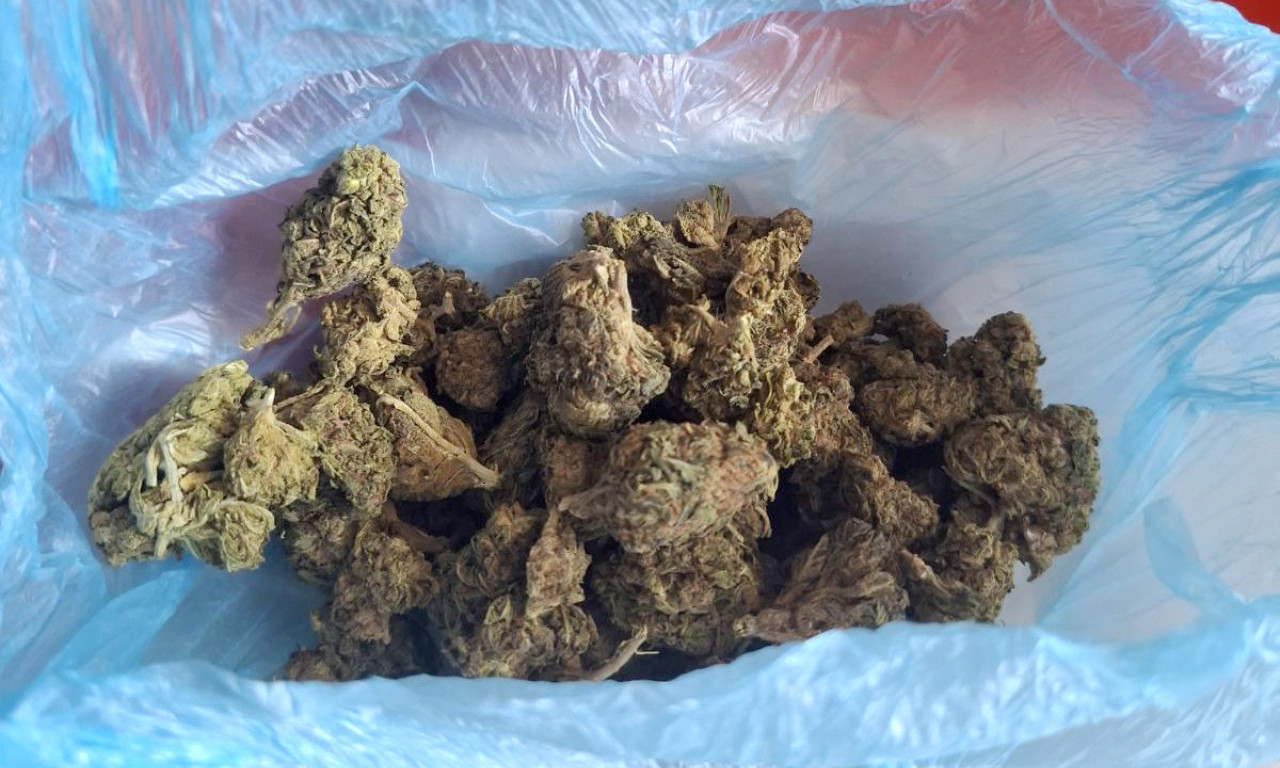 "PALI" DILERI U NOVOM SADU! Trojka uhapšena zbog droge, evo šta im je policija sve pronašla u stanu