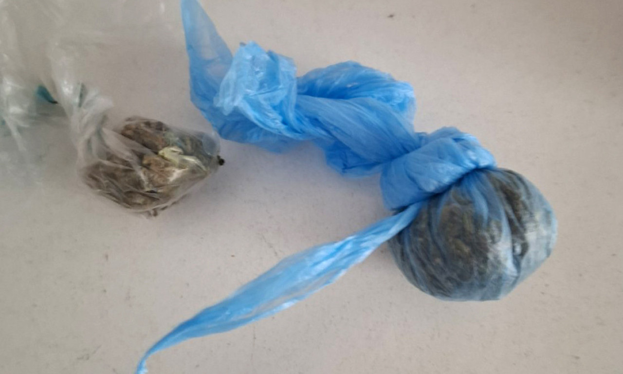 PRODAVNICA SLATKIŠA U OBRENOVCU PUNA DROGE Velika akcija policije - pogledajte šta je pronađeno (FOTO)