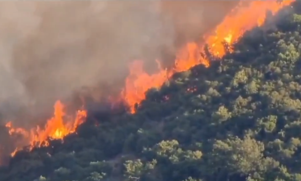 ALBANAC IZAZVAO POŽAR U BULJARICAMA Iz policije saopšteno da li će odgovarati zbog toga