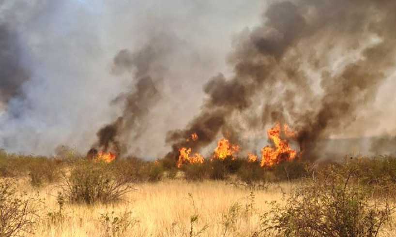 OGLASIO SE MUP O POŽARU KOD KLADOVA – STIGLI I SNIMCI SA ZGARIŠTA: „Najvažnije je da nema stradalih“ (FOTO+VIDEO)