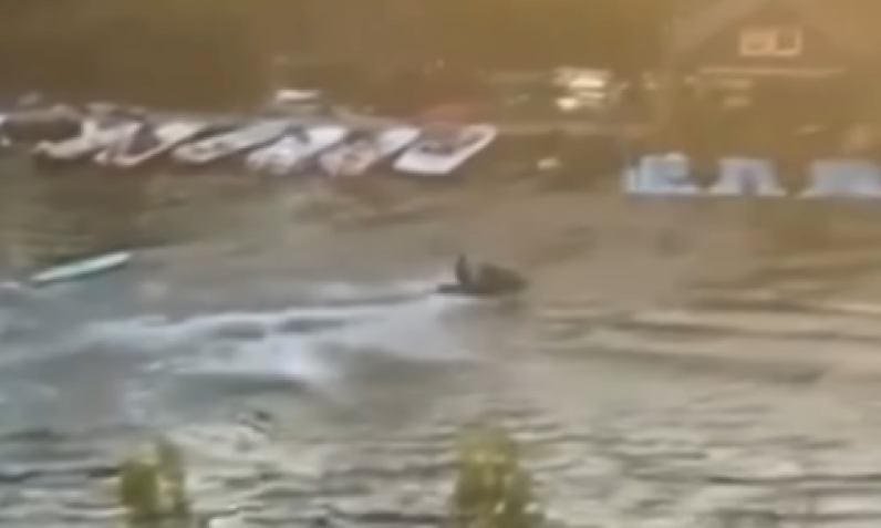 MILAN KOJI JE GAZIO DECU NA TAMIŠU OSTAJE IZA REŠETAKA Sud doneo odluku