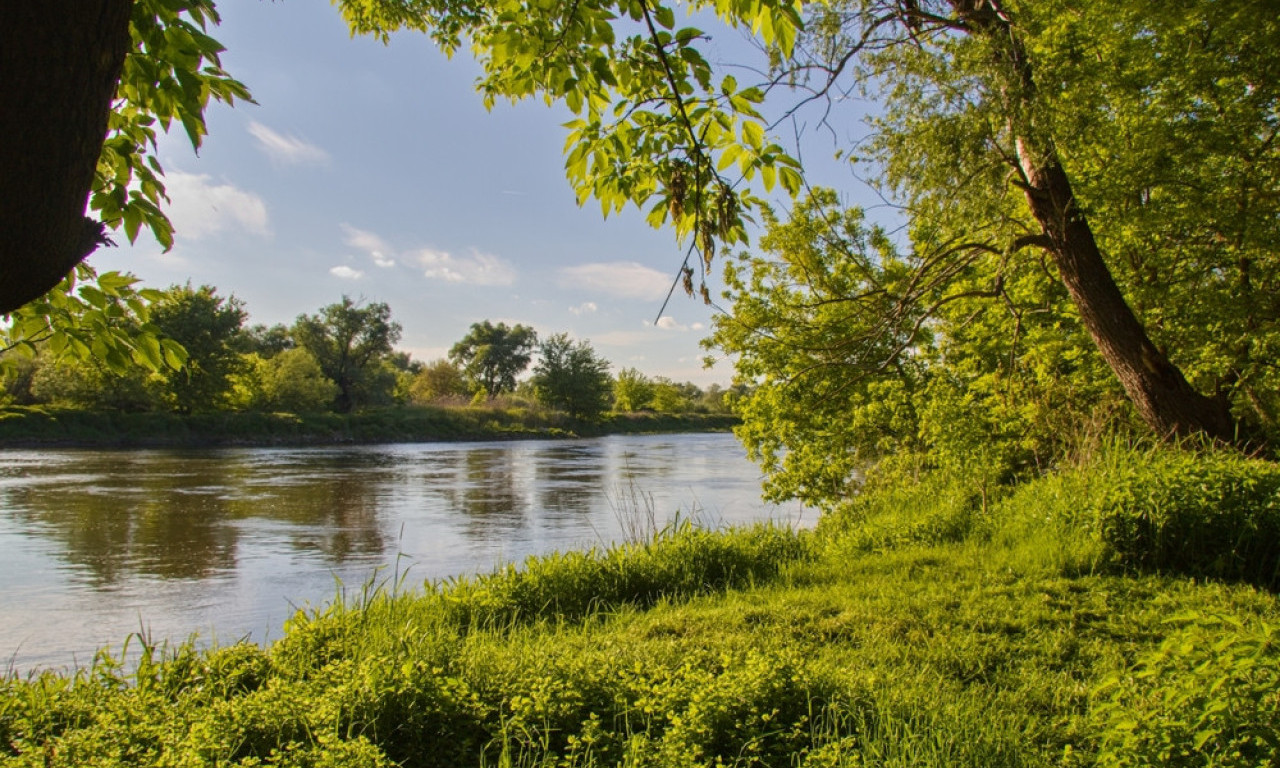 GDE JE MOPED, KAO DA JE UPAO U MORAVU! Za vikend na festival koji čuva tradiciju i slavi najopevaniju srpsku reku!