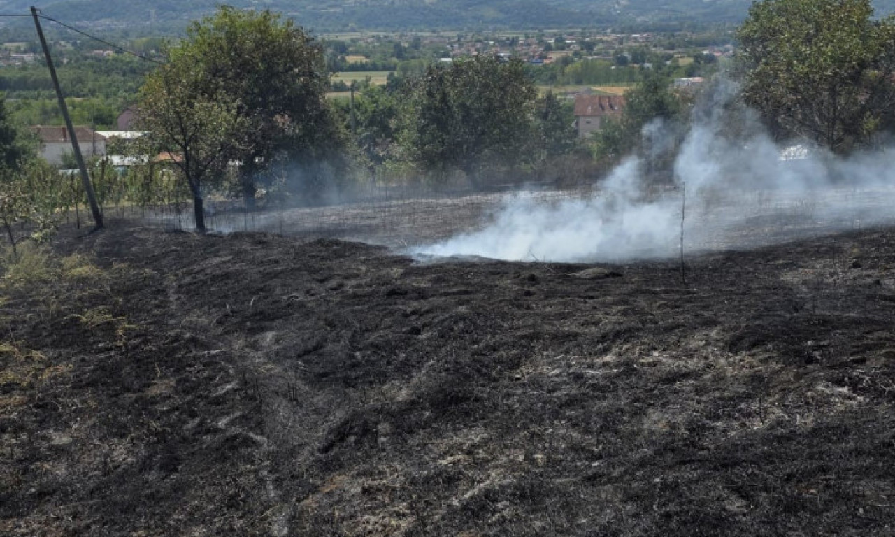 VATRA GUTA VOĆNJAKE I IMANJA Izbio veliki požar u čačanskom naselju, na nogama vatrogasci i meštani (FOTO)