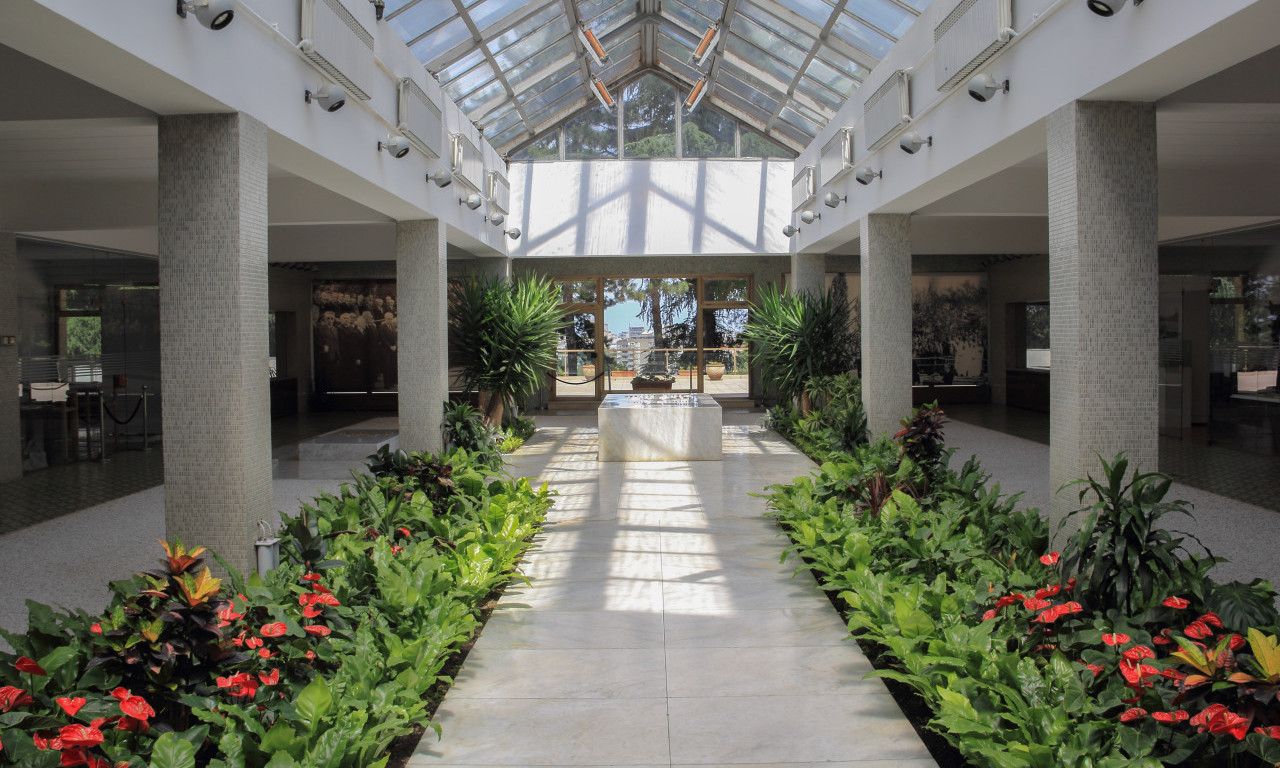 MANIJAK BACIO MOLOTOVLJEV KOKTEL NA KUĆU CVEĆA Policija odmah reagovala