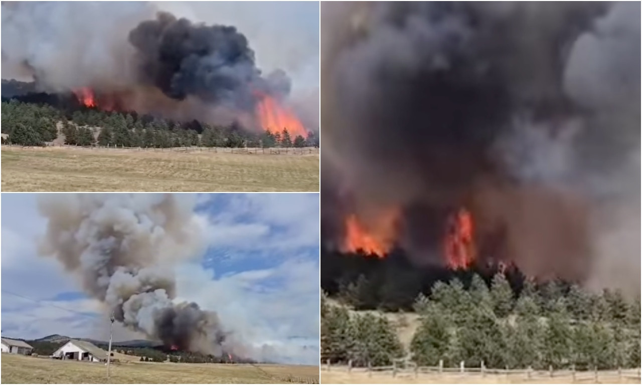 VELIKI POŽAR U PODNOŽJU DIVČIBARA Vatra preti i vikendicama, evo gde gori (VIDEO)
